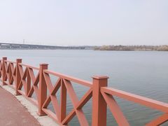 -丁香湖公园