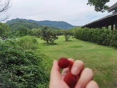 -宝业会稽山高尔夫俱乐部