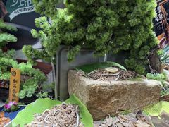 -亚马逊海鲜自助(梅溪湖步步高店)