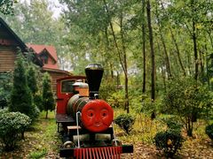 -合肥滨湖国家森林公园