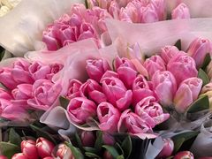 -循礼门鲜花花市(武汉循礼门店)