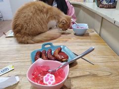 -猫小院猫主题餐厅(南锣旗舰店)