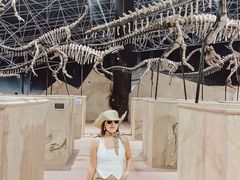 -世界恐龙谷景区