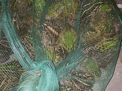 -蜀膳坊(洪公祠小区店)