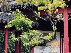 -亮马河饭店翠雅咖啡厅