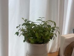 -山东宾馆·齐鲁苑餐厅