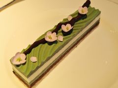 -BLACKSWAN黑天鹅(环球店)