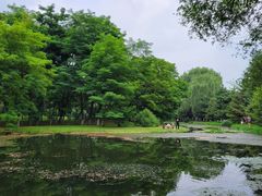 -长白岛森林公园