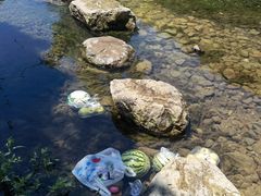 -北仑森林植物园