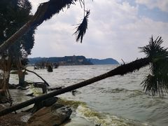 -捞渔河湿地公园