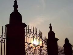 -上海佘山国家森林公园西佘山园