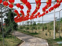 -芒洲湿地公园
