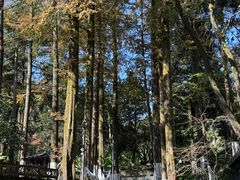 -莫干山风景区