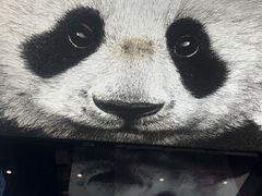 -奎星楼街