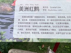 -武汉动物园