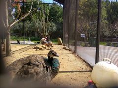 -合肥滨湖国家森林公园