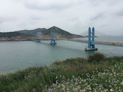 -枸杞岛