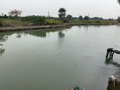 -乡乐园蟹庄·阳澄湖农家乐