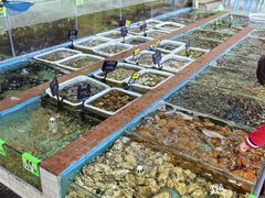 -景好海鲜餐厅(大鹏必选旅游店)