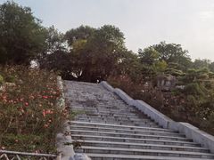 -中国唐苑