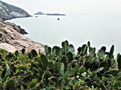 -东极岛景区