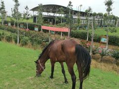 -武汉紫薇都市田园