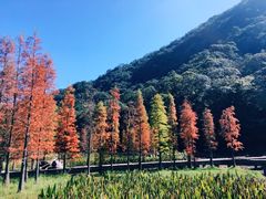 -广州市石门国家森林公园