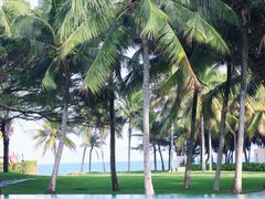 -海南清水湾莱佛士酒店