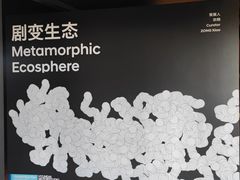 -现代汽车文化中心 Hyundai Motorstudio Beijing