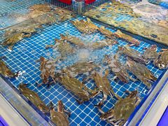 -驻海渔市(置信店)