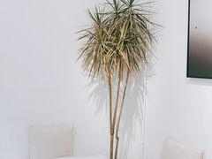 -收获咖啡HARVEST RESERVE(苍山店)