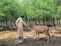 -北极村旅游风景区
