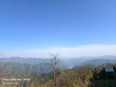 -牛背梁国家森林公园