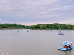 -昆山城市生态森林公园