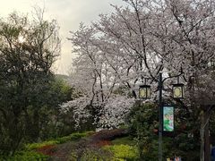 -白马涧龙池景区