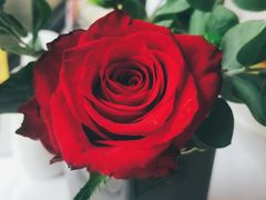 -火车头法国西餐厅