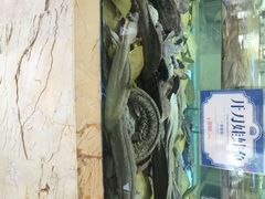 旺顺阁海鲜广场-旺顺阁海鲜广场(亚运村店)