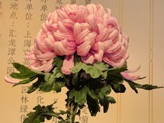 -汇龙潭