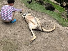 -可伦宾野生动物保护区