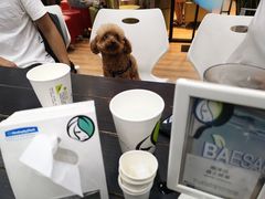 -813芭依珊 BAESAn(皇冠十畝地店)