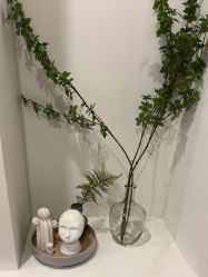 -VE专注问题肌&科学美肤中心