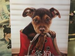 -博纳国际影城IMAX(中央大道店)