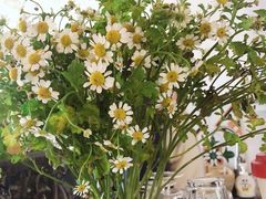 -春风十里咖啡馆