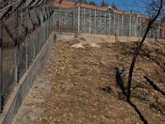 -石家庄市动物园