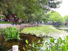 -荔湾湖公园