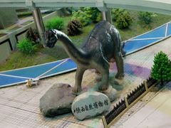 -陕西自然博物馆