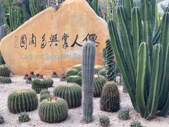 -深圳仙湖植物园