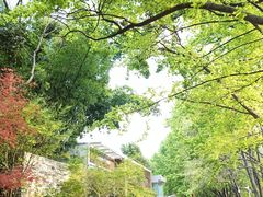 -昆明植物园
