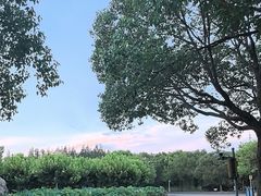 -上海海湾国家森林公园