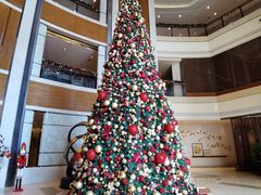 -深圳星河丽思卡尔顿酒店